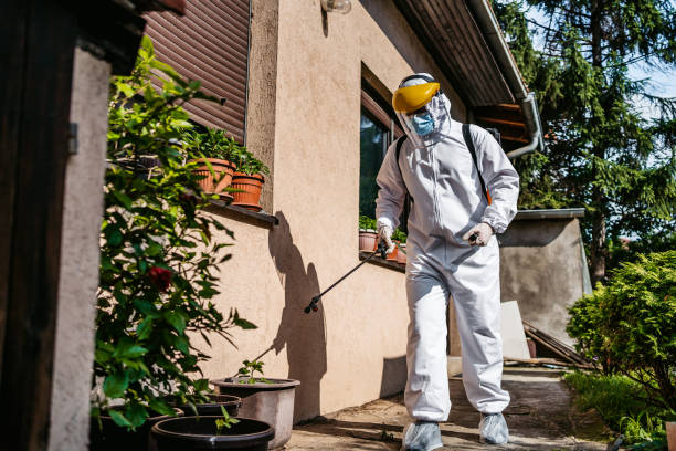 Trusted Malabar, FL Pest Control Experts