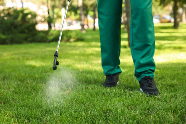 Insect Control in Malabar, FL